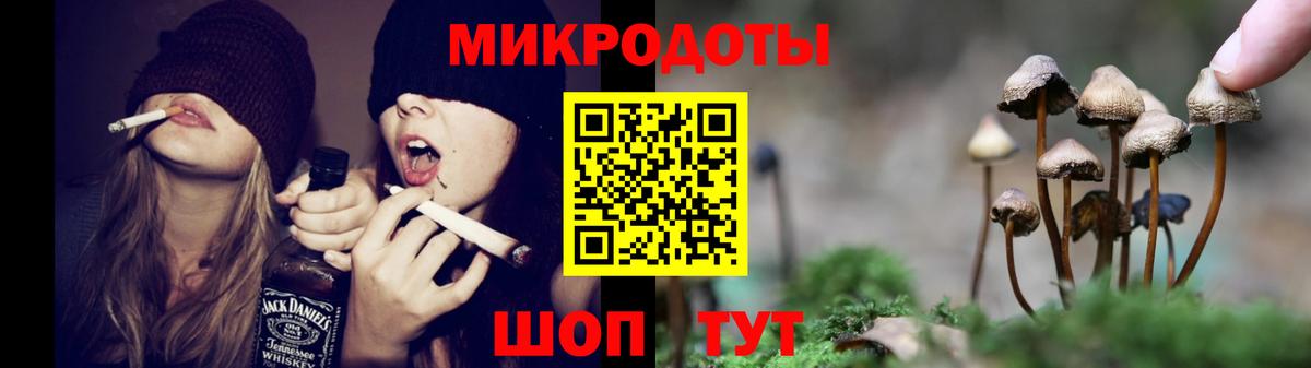 Галлюциногенные грибы GOLDEN TEACHER  Вход с VPN  Галлюциногенные грибы Cubensis  Ярославль 